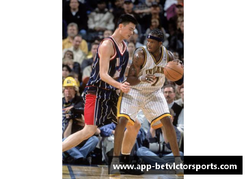 NBA球星贝斯：生涯与荣誉的完整回顾