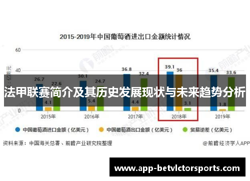 法甲联赛简介及其历史发展现状与未来趋势分析